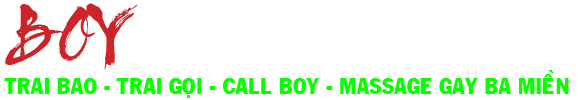 Logo boy 3 mien